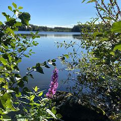 152位のイメージ