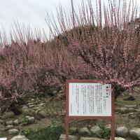 130位のイメージ