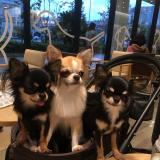 292位のイメージ