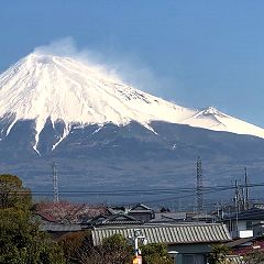 86位のイメージ