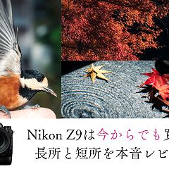 74位のイメージ