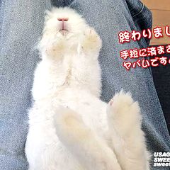 12位のイメージ