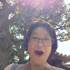 268位のイメージ