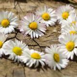 23位のイメージ