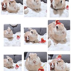 2422位のイメージ