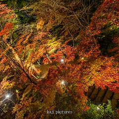 93位のイメージ