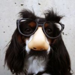 58位のイメージ