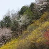 109位のイメージ