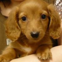 29位のイメージ