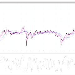 17位のイメージ