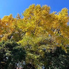 20位のイメージ