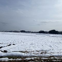 109位のイメージ