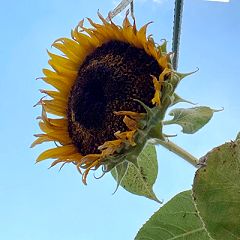 24位のイメージ