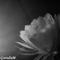 25位のイメージ