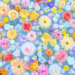 24位のイメージ