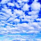 54位のイメージ