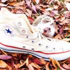 12位のイメージ