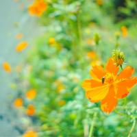 91位のイメージ