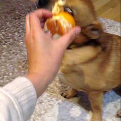 23位のイメージ