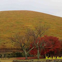 21位のイメージ