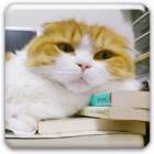 560位のイメージ