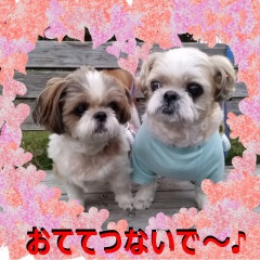 14位のイメージ