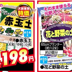 111位のイメージ