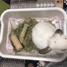 101位のイメージ