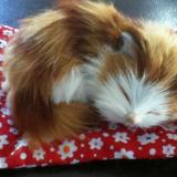 23位のイメージ