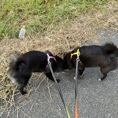 50位のイメージ