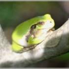 14位のイメージ