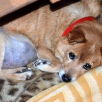 1311位のイメージ