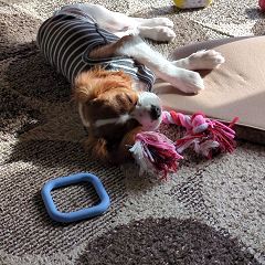 38位のイメージ