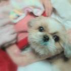 61位のイメージ