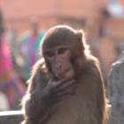 13位のイメージ