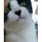 46位のイメージ