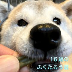 13位のイメージ