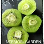 99位のイメージ