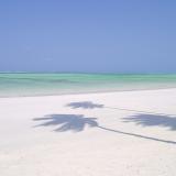 30位のイメージ