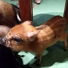 29位のイメージ