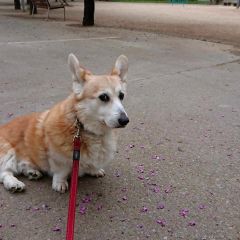 21位のイメージ