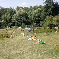 59位のイメージ