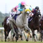 208位のイメージ