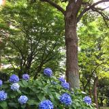 112位のイメージ