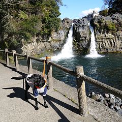 17位のイメージ