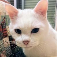 15位のイメージ