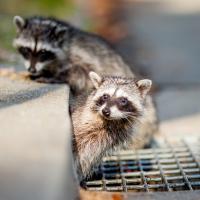 103位のイメージ