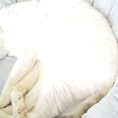 49位のイメージ