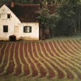 26位のイメージ