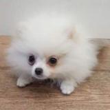 24位のイメージ